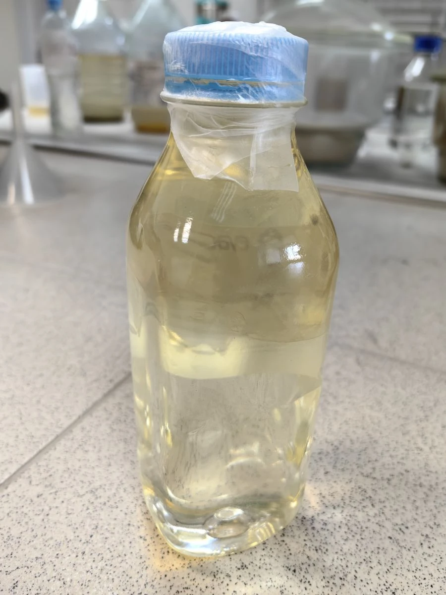 Oxygen Absorber "TyumNT-PK