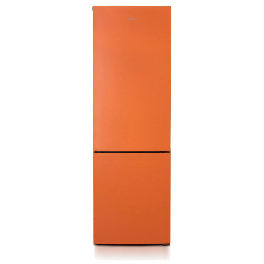 Two-Chamber Refrigerator with Freezer "Biryuza T6127