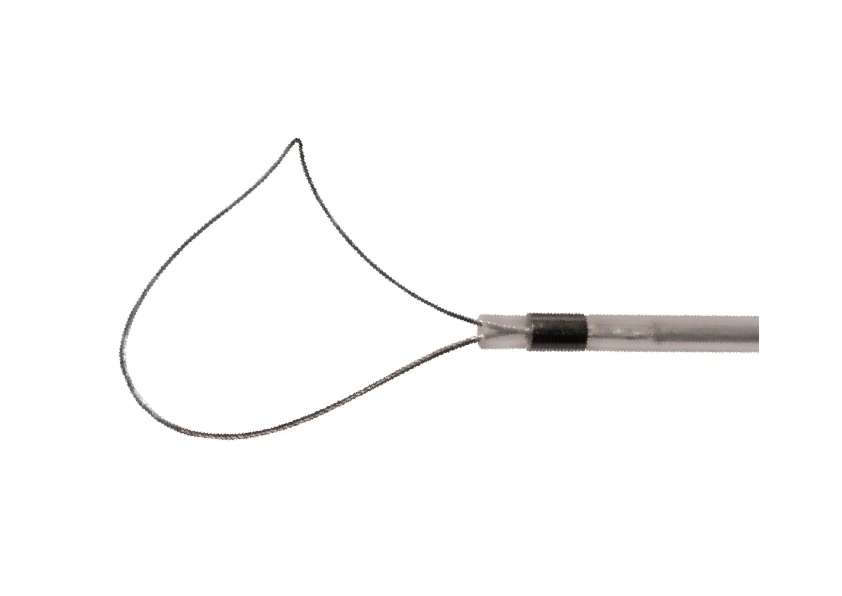 Flexible Endoscopic Polypectomy Loop for Polyp Removal, 15mm, Ø 2.8mm, Length 2400mm (No Handle)
