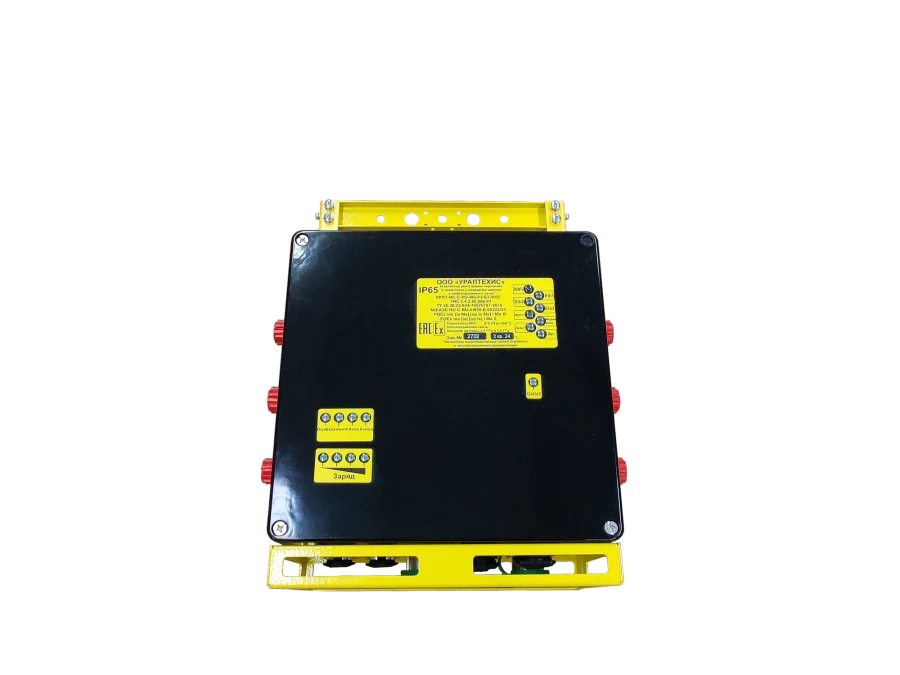 Personnel and Transport Registration Device URPT-IS-C-RO-W6-P2-E3-IP65