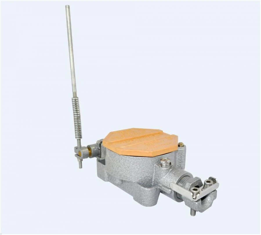 Explosion-Proof Limit Switch VPV-1A31OM1