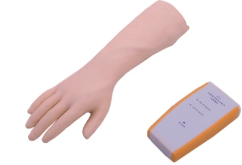 Anatomical Injection Training Simulator with Controller (Wrist), L73