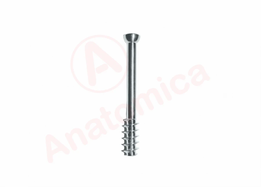 Cannulated Screw with 16 mm Thread for Bone Fixation
