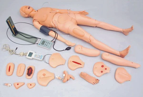 Multifunctional Patient Care Mannequin 2400