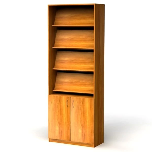 Display Showcase with Inclined Shelves, Model: VIT-001