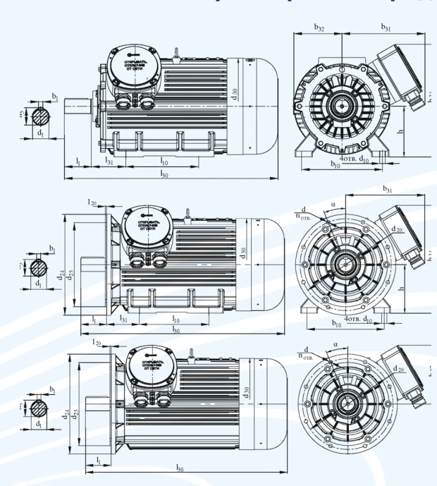 Explosion-Proof Asynchronous Electric Motors DVR 355, 75-375 kW