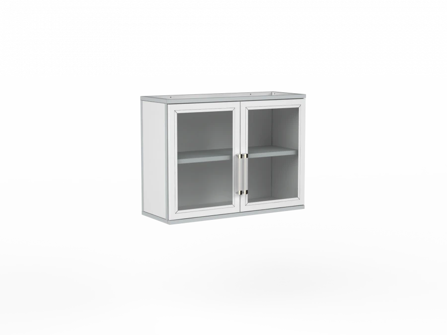 Wall-Mounted Laboratory Cabinet MNSh2