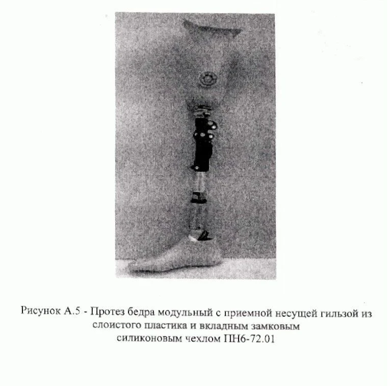 Therapeutic Training Hip Prosthesis PN6-72