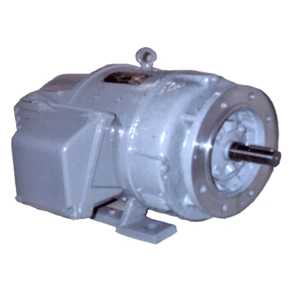 DC Motors Series P62MJ for Industrial Applications