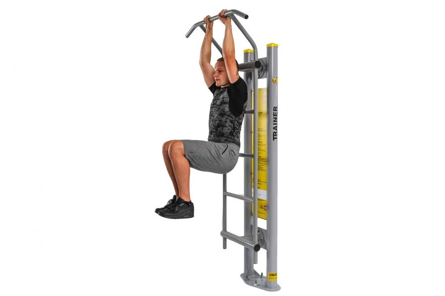 Swedish Wall with Pull-Up Bar ZV-033
