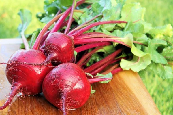 Fresh Table Beetroot - Premium Quality