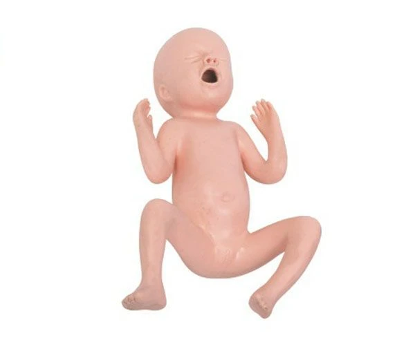 Premature Baby Model 24 Weeks T331A
