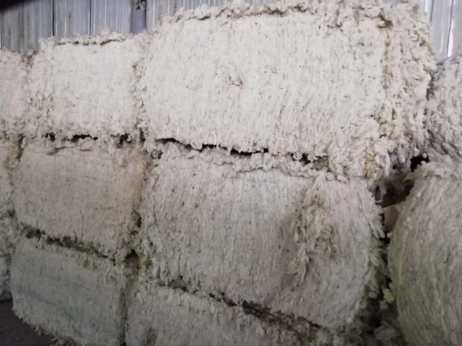 Clean Washed Sheep Wool - Unprocessed