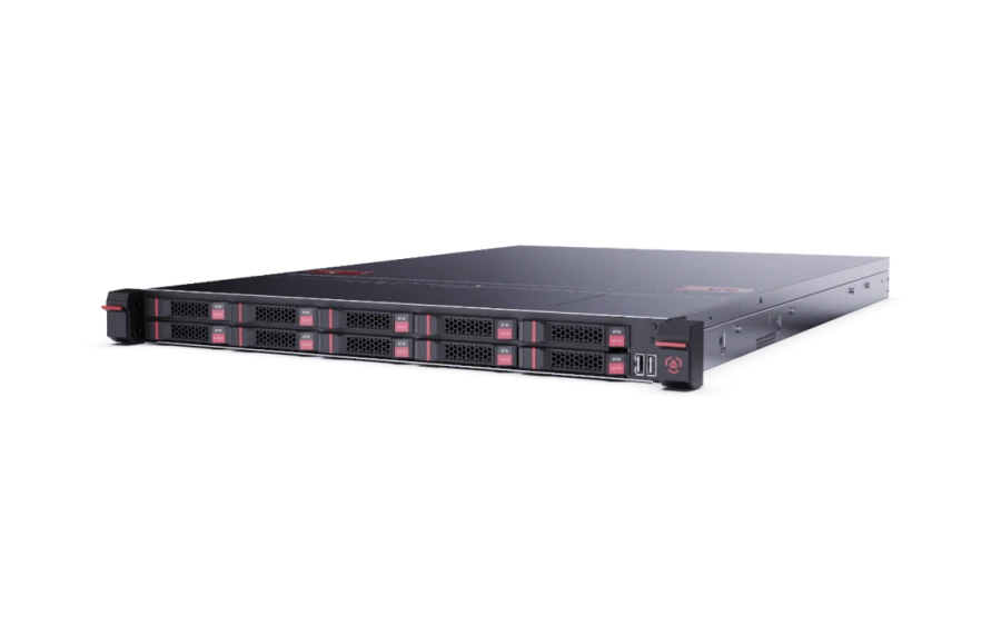 High-Performance Gravitation Server S2101IV for Computing Tasks