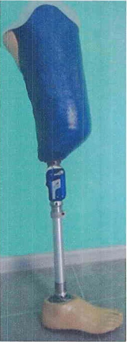 Bathing Hip Prosthesis PN6-01K-OK