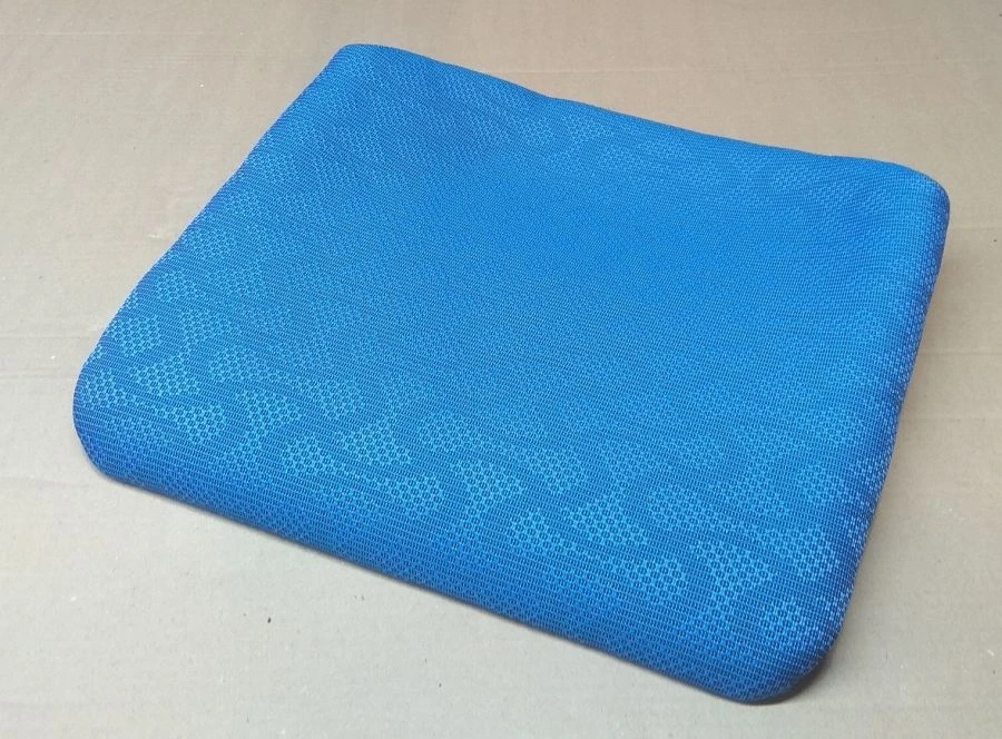 Passenger Seat Cushion L01R35.6823010