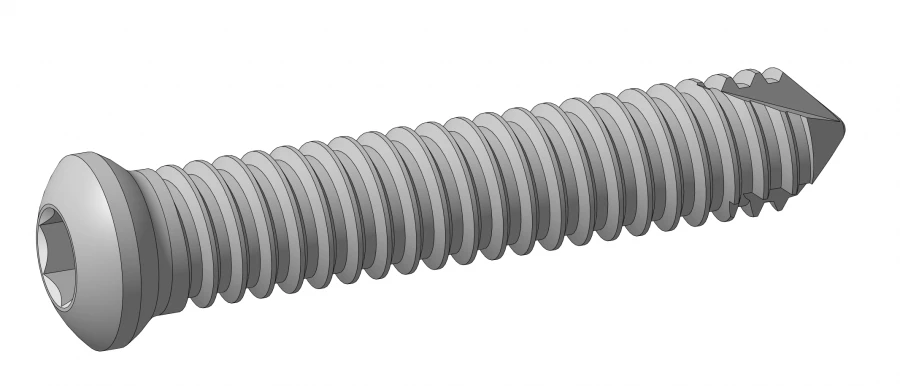 Locking Screws Ø 6 mm, Length from 30 to 80 mm, Model 639.0XX