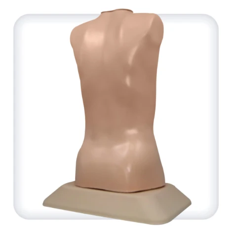 Heart and Lung Auscultation Training Simulator M1043