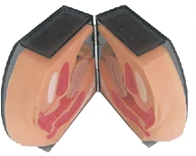 Intrauterine Contraception Trainer GP6619/B2