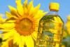 High-Quality Unrefined Sunflower Oil - First Grade