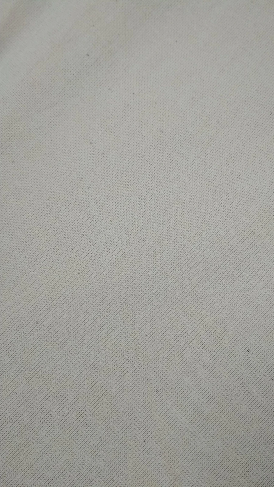 Raw Cotton Fabric Batiste 100% Cotton Art. 262/146 165 cm Width