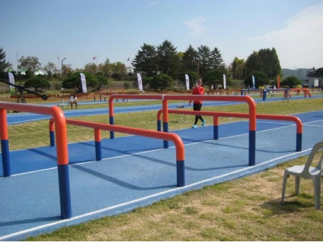 Horizontal Log PP Element