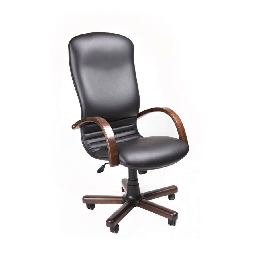 Comfortable Upholstered Armchair with Wooden Frame for Relaxation - Laguna
