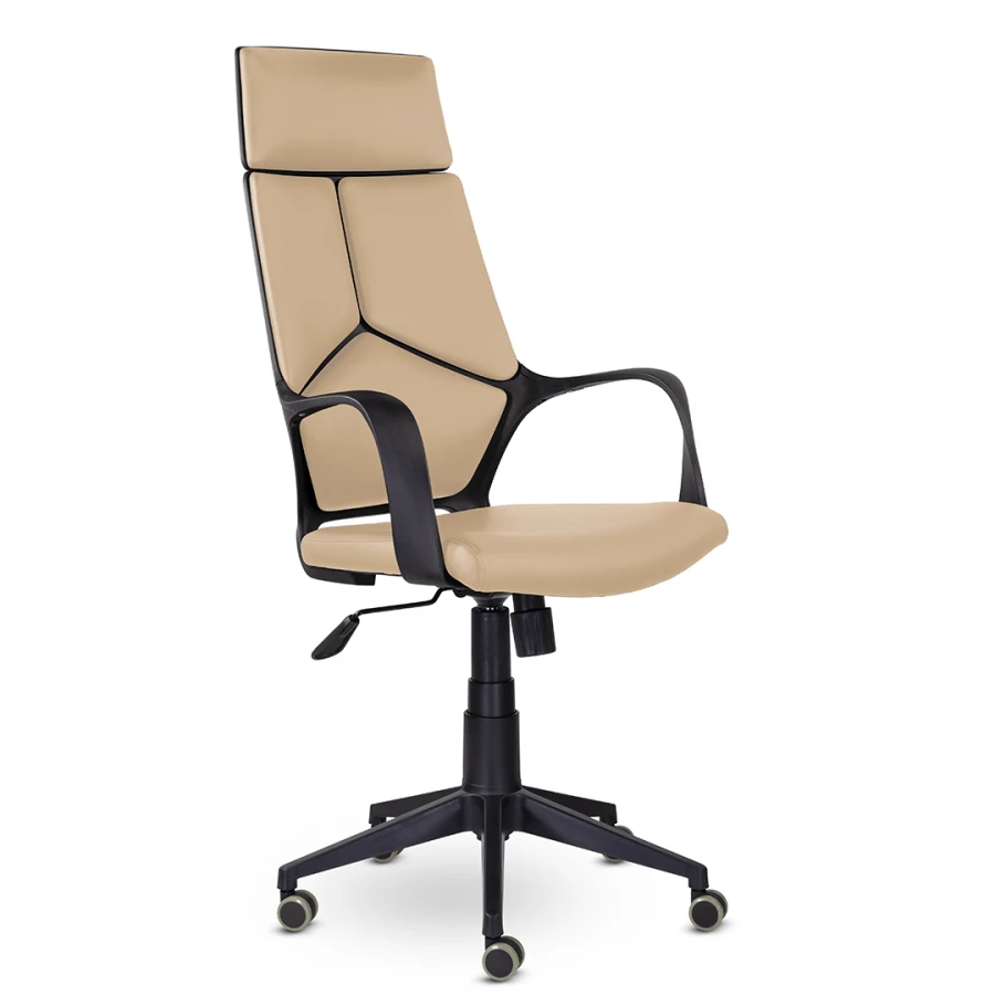 IQ Chair for Office and Home Use