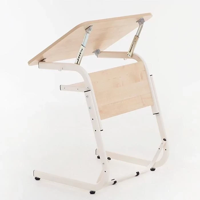Accessible Table for People with Disabilities