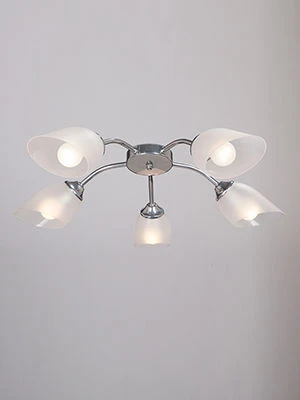 V3761-9/5PL Stationary General Purpose Light Fixture for Incandescent Bulbs