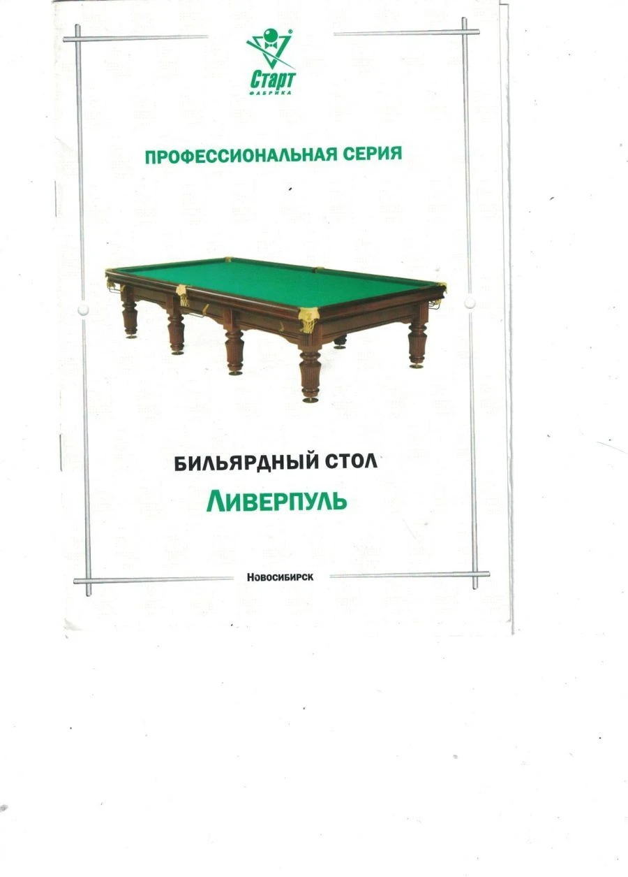 Billiard Table for Pool and Russian Pyramid Games