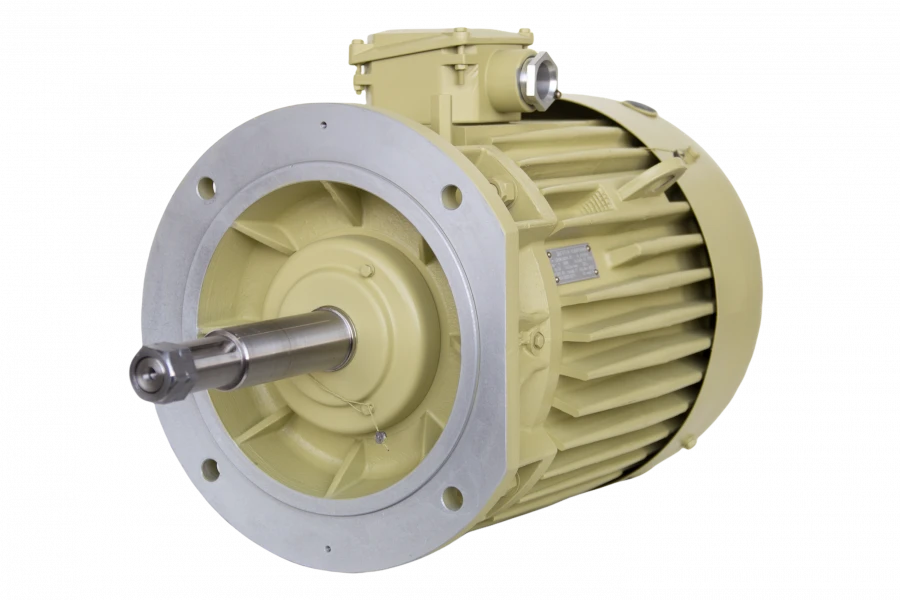 Three-Phase Asynchronous Motors DMN200, DMMN200, DMNA200, DMMNA200 (22-37 kW)