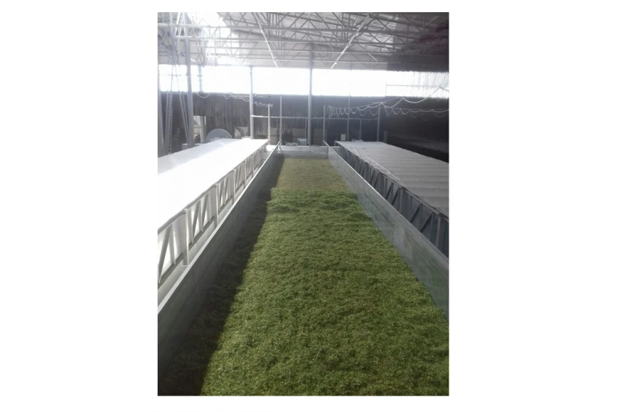 Floor Grain, Herb, and Vegetable Dryer ST-70