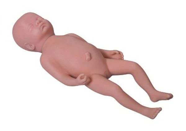 Anatomical Baby Model for Care Training, Y1