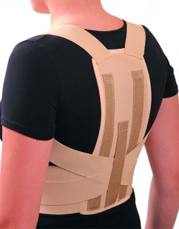 Posture Corrector and Reclinator for Spinal Support