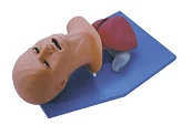 Newborn Intubation Head Model for Tracheal Intubation, 2A