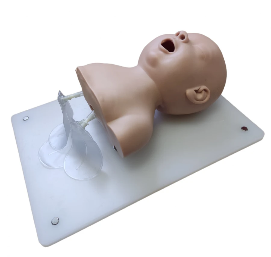 Neonatal Intubation Model for Training, 2A