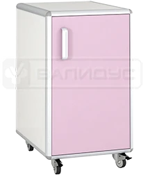 Mobile Cabinet TPKN with Swing Door