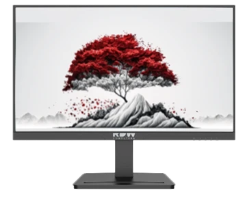 Монитор RDW2501B ЕМТЦ.467846.014-04