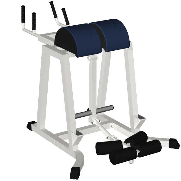 Reverse Hyperextension Machine (Free Weights)