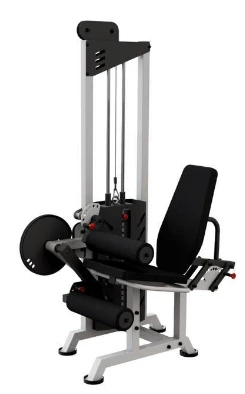 Quad & Hamstring Cable Machine for Effective Leg Training