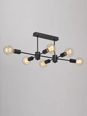 General Purpose Stationary Light V3989-1/6PL