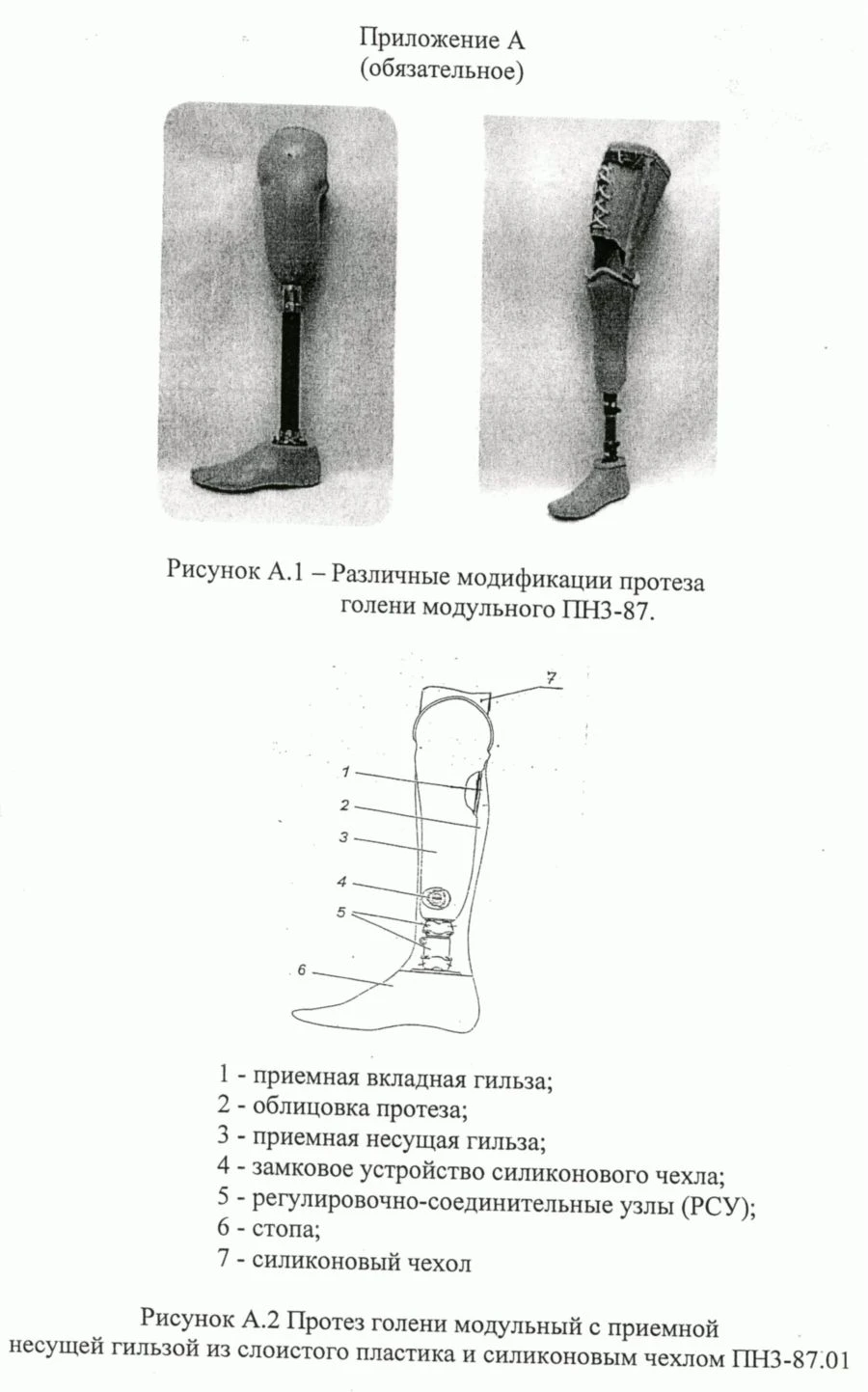Modular Below-Knee Prosthesis PН3-87
