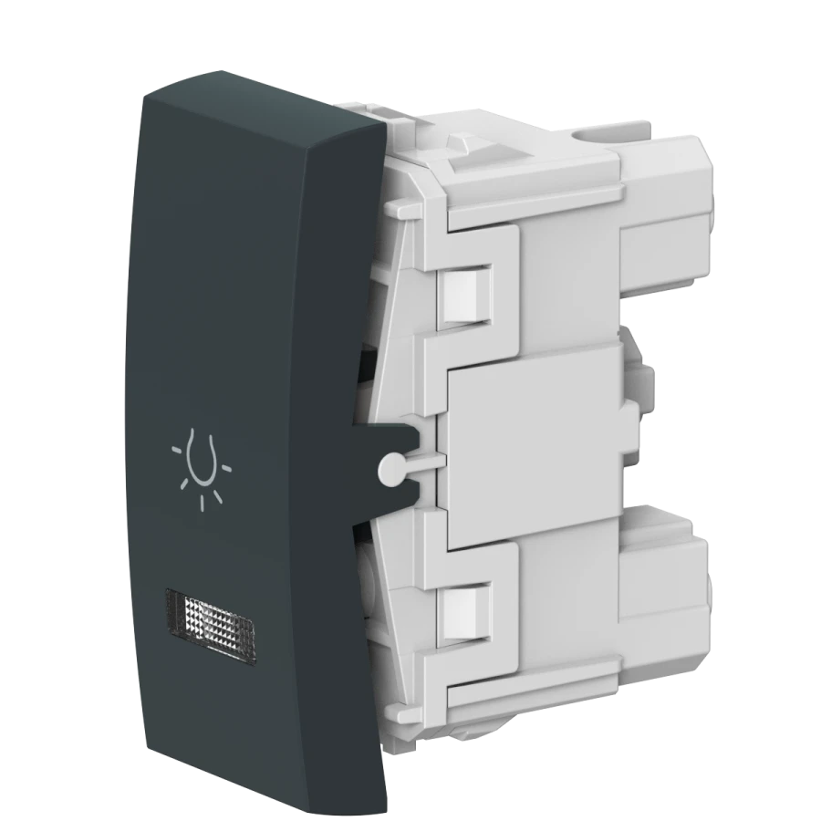 Caduceus Aling Mode Button Switch with Indication, 10A, 250V, Anthracite, Art. 65