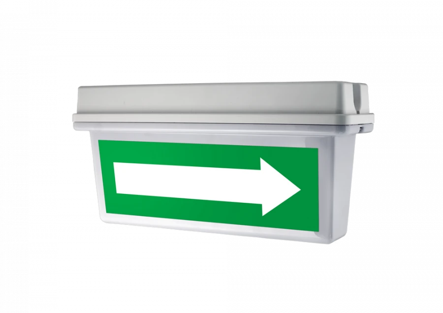 Fire Alarm Light Indicator Molniya-12/24-AQUA Version 2