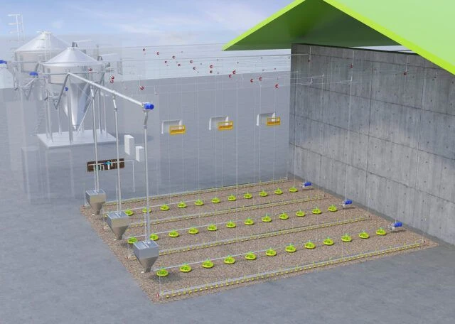 Floor Equipment for Breeding Poultry Young Stock (TNRM)