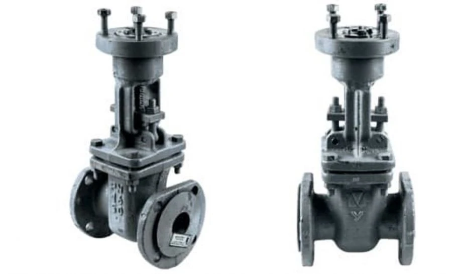 Steel Wedge Gate Valve with Extension Spindle for PN 1.6 MPa DN 50