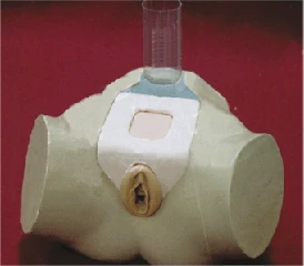 Female Urinary Bladder Puncture Trainer Model 29F