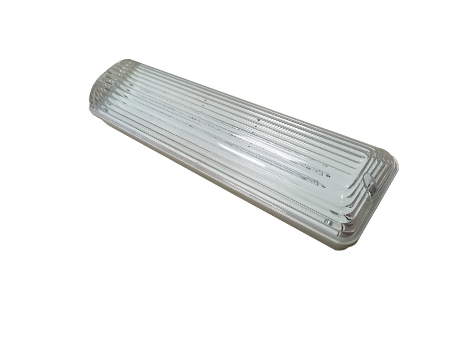 LED Ceiling Light for Industrial Use - ЭГ-ДПП-11-10-001-У2-65-ПДП