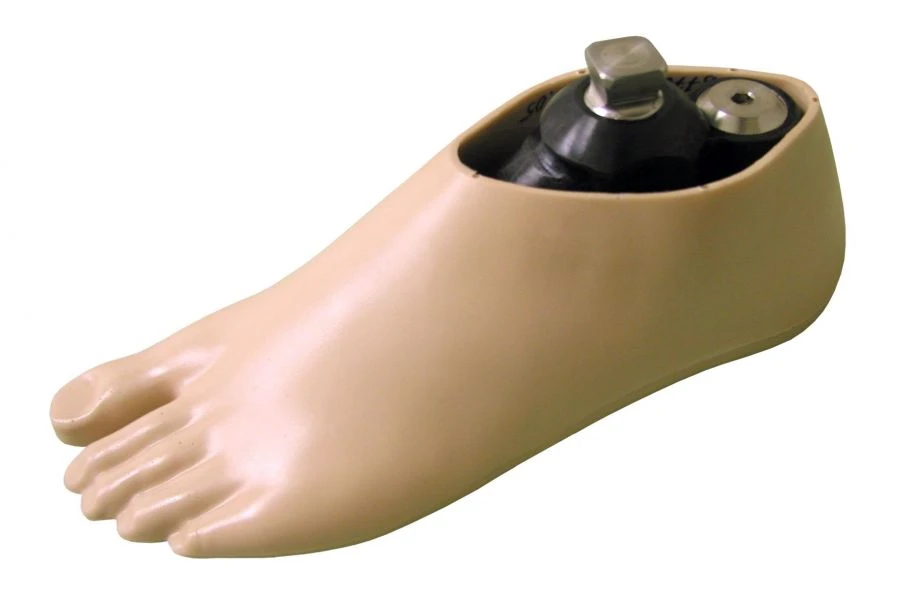 Universal Low Heel Footwear 9A 053